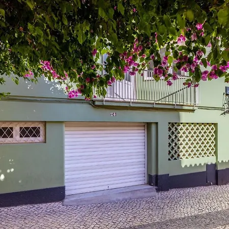 Villa Urban Oasis